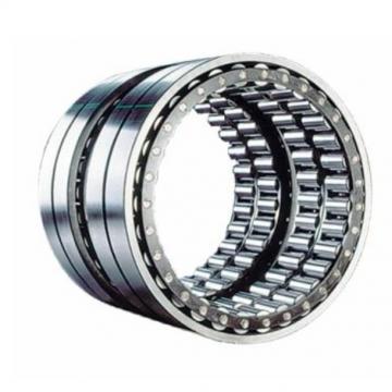 NF1956MC4 Complex Bearings