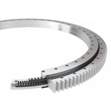 162.16.0450.891.21.1503 Standard 5 Slewing Ring Bearings