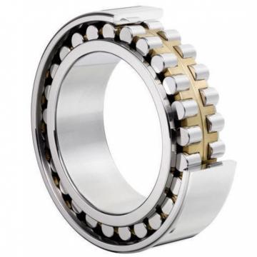 NN3060K NSK CYLINDRICAL ROLLER BEARING