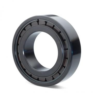 NN3020K NSK CYLINDRICAL ROLLER BEARING