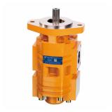 UCHINDA series of A10VD17,A10VD23,A10VD28,A10VD40,A10VD43,A10VD71 hydraulic piston pump parts